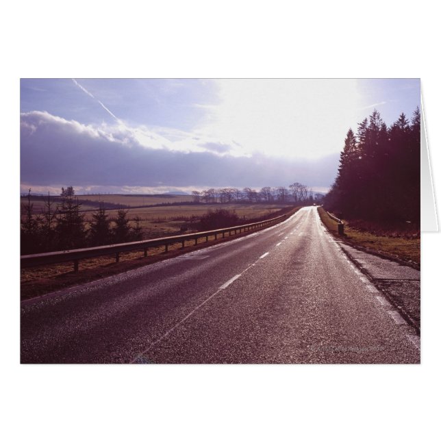 Hoofdweg met lage winterzon. (Voorkant Horizontaal)