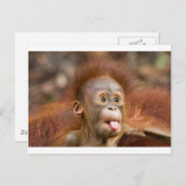 Hoofdzaken 2 briefkaart (Voorkant / Achterkant)