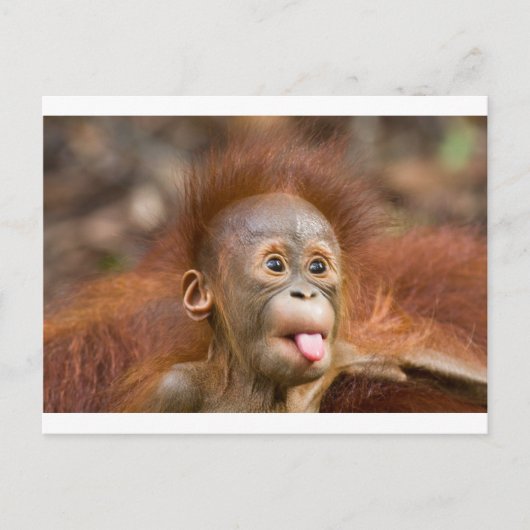 Hoofdzaken 2 briefkaart (Voorkant)