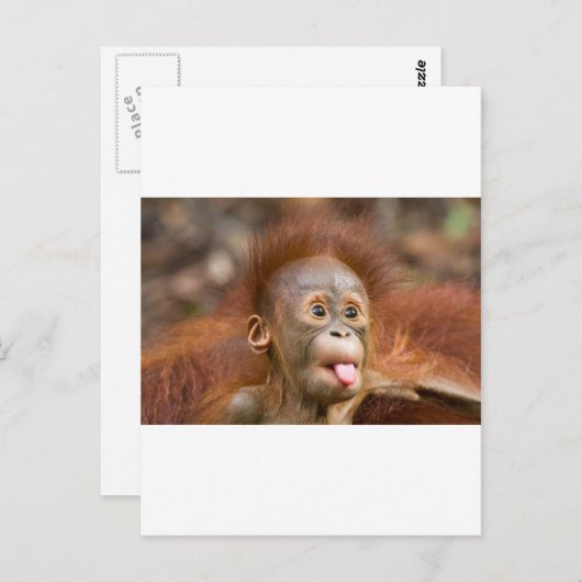 Hoofdzaken 2 briefkaart (Voorkant / Achterkant)