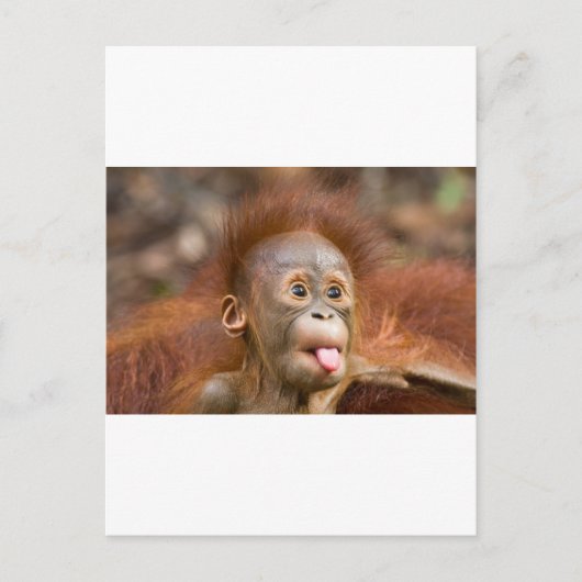 Hoofdzaken 2 briefkaart (Voorkant)