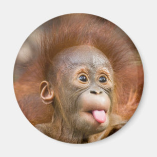 Hoofdzaken 2 magneet