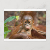 Hoofdzaken 3 briefkaart (Voorkant)