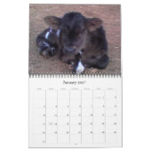 HoofsnHorns Boerderij 2009 Calender Kalender (Jan 2027)