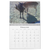 HoofsnHorns Boerderij 2009 Calender Kalender (Feb 2026)