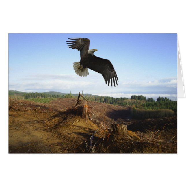 Hoog (Voorkant Horizontaal)