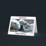 HOOG BIRTHDAY BROTHER-TAKE NAP/DOE WANNEER U WISH  KAART<br><div class="desc">DEZE KOPER SPANIEL ZAL UW BROER EEN HOOGSTE GROTE DAG WENSEN EN HAAR VERTELLEN OM TE DOEN WAT ZIJ OP "HAAR SPECIALE DAG" WILT.</div>