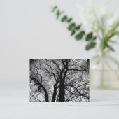 Hoog contrast bomen visitekaartje (Staand voorkant)