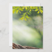 Hoog Hiel, glas, Zen Stones Landscape Retirement Kaart (Achterkant)