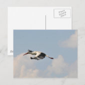 Hoog in de lucht briefkaart (Voorkant / Achterkant)