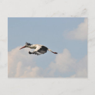 Hoog in de lucht briefkaart