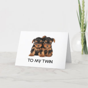 HOOG OP DE 'BESTE TWIN OOIT'-MIJN KAART