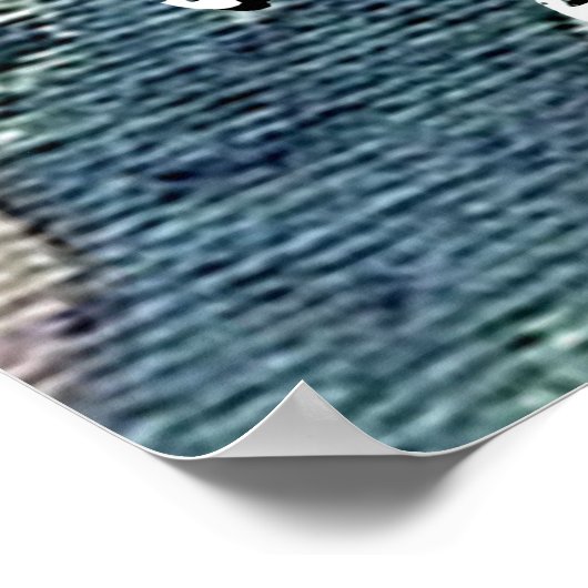 Hoog op de kikker poster (Hoek)