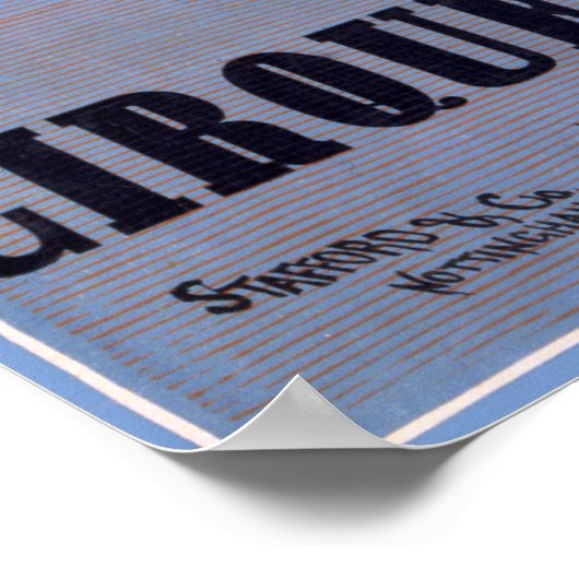  hoogduikballon Franse Circus Poster (Hoek)