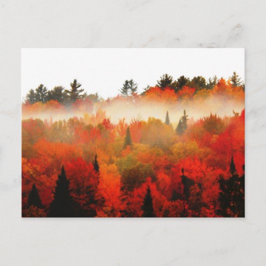 Hooggebergte in het herfst van Peaks Adirondacks Briefkaart (Voorkant)