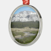 Hoogland Bergstroom I Metalen Ornament (Links)