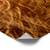 HOOGLAND CATTLE POSTER (Hoek)