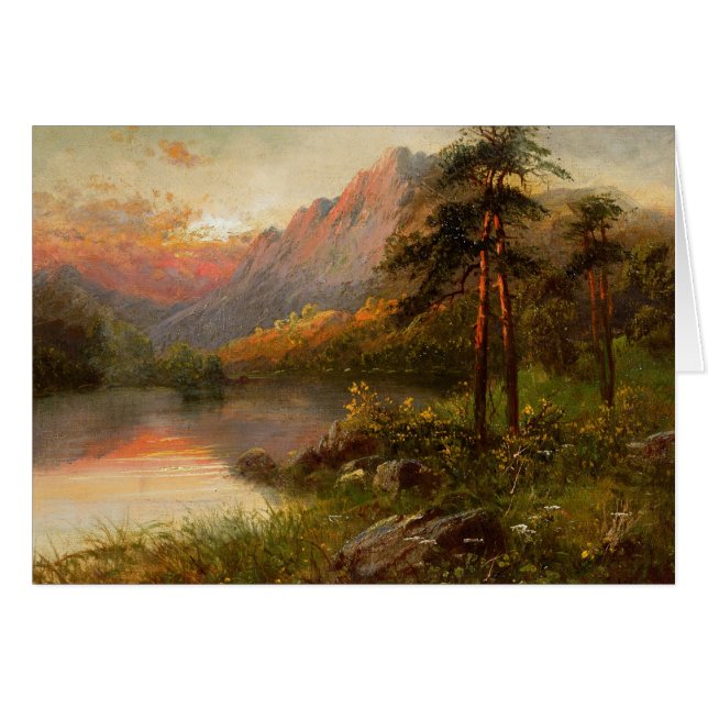 Hoogland eenzaamheid (Voorkant Horizontaal)