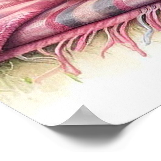 Hoogland Koe 1 Poster (Hoek)