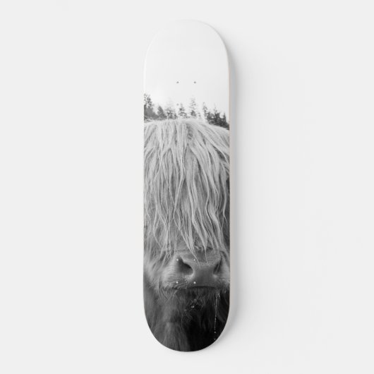 Hoogland Koe #6 #wall #art Persoonlijk Skateboard (Voorkant)
