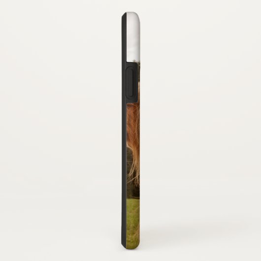 Hoogland Koe #7 #wall #art Case-Mate iPhone Case (Achterkant / rechts)