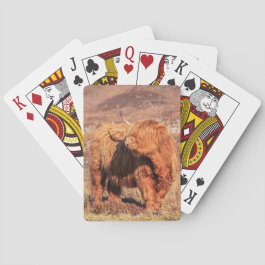 Hoogland-Koe-afspeelkaarten Pokerkaarten (Achterkant)