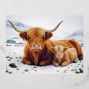Hoogland Koe Dier Natuur Wilde Dieren Liefde Liefd Folie Feestdagen Briefkaart