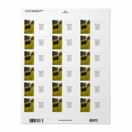 Hoogland Koe Etiket (Full Sheet)