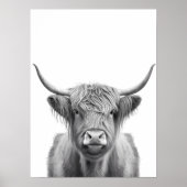 Hoogland Koe Hoofd portret zwart wit Poster (Voorkant)
