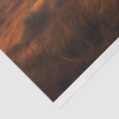 Hoogland Koe in mistig landschap Decoupage papier (Detail)