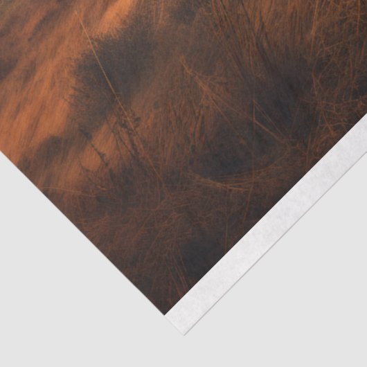 Hoogland Koe in mistig landschap Decoupage papier (Detail)