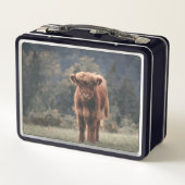 Hoogland koe kalf herfstgrasveld (Achterkant)