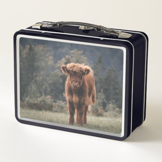 Hoogland koe kalf herfstgrasveld (Achterkant)