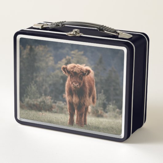 Hoogland koe kalf herfstgrasveld (Voorkant)