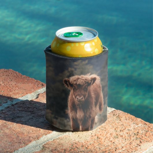 Hoogland koe kalf herfstgrasveld blikjeskoeler (Insitu Zwembad)