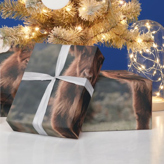 Hoogland koe kalf herfstgrasveld cadeaupapier (Feestdagen)
