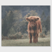 Hoogland koe kalf herfstgrasveld cadeaupapier (Vlak)