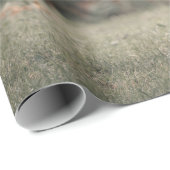 Hoogland koe kalf herfstgrasveld cadeaupapier (Rol Hoek)