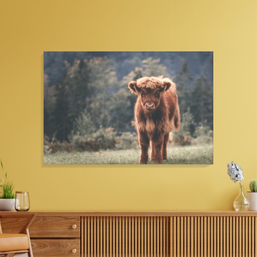 Hoogland koe kalf herfstgrasveld canvas afdruk (Insitu (Woonkamer))