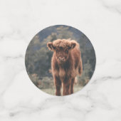 Hoogland koe kalf herfstgrasveld confetti (Kleine voorkant)