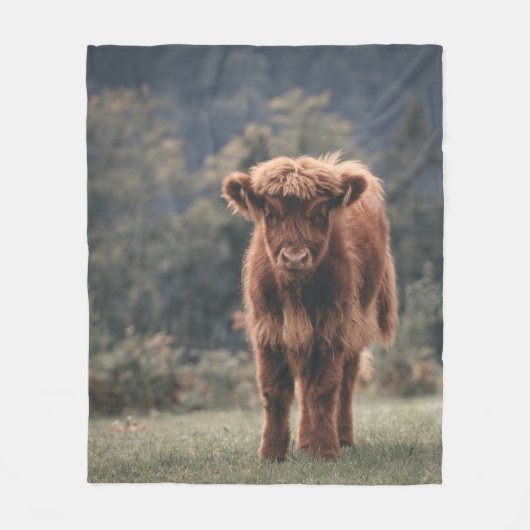 Hoogland koe kalf herfstgrasveld fleece deken (Voorkant)