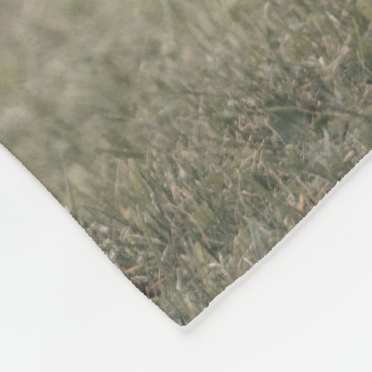 Hoogland koe kalf herfstgrasveld fleece deken (Hoek)