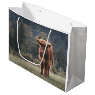 Hoogland koe kalf herfstgrasveld groot cadeauzakje