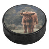 Hoogland koe kalf herfstgrasveld hockey puck (3/4)