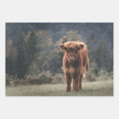 Hoogland koe kalf herfstgrasveld inpakpapier vel (Voorkant)