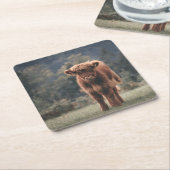 Hoogland koe kalf herfstgrasveld kartonnen onderzetters (Schuin)