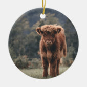 Hoogland koe kalf herfstgrasveld keramisch ornament (Voorkant)