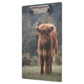 Hoogland koe kalf herfstgrasveld klembord (Links)