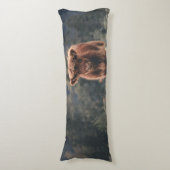 Hoogland koe kalf herfstgrasveld lichaamskussen (Voorkant Verticaal)