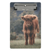 Hoogland koe kalf herfstgrasveld mini klembord (Voorkant)